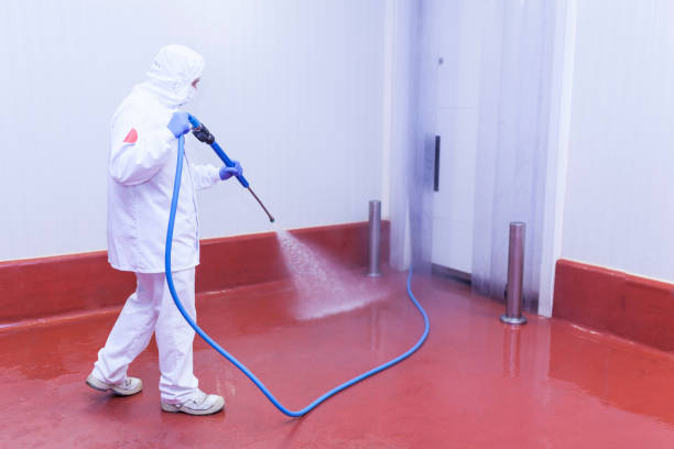 Best Spring Cleaning  in Lake Dallas, TX